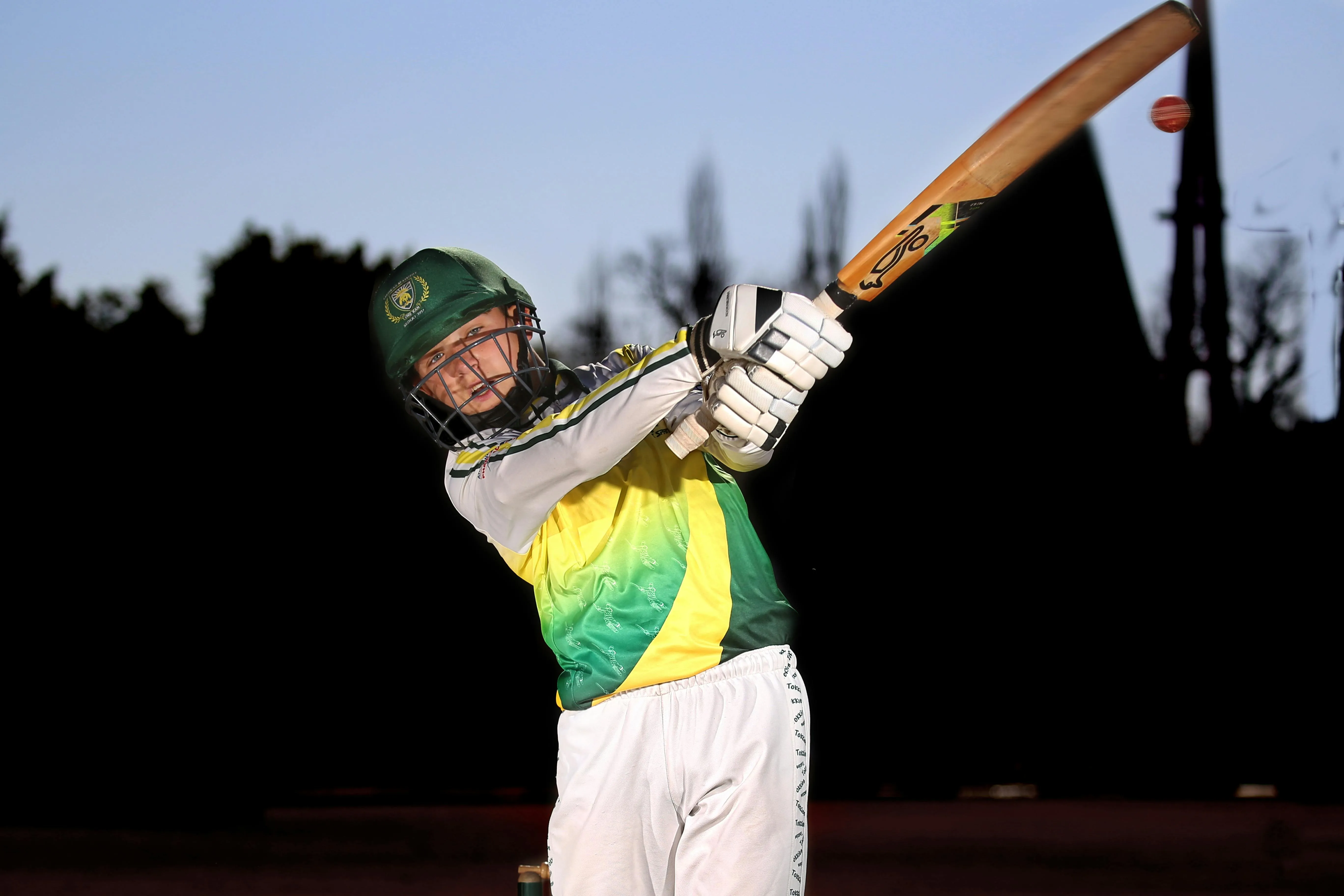 Cricket player batting